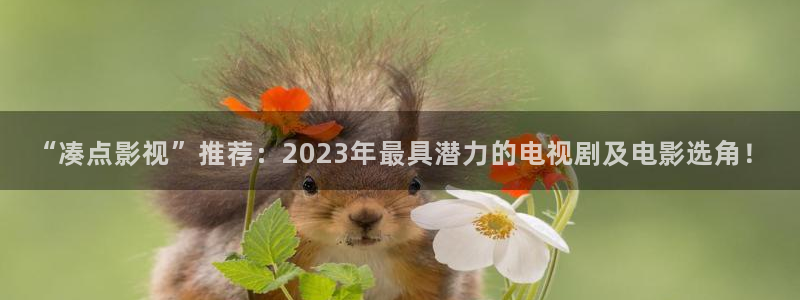 电影天堂西虹市首富：“凑点影视”推荐：2023年最具潜力的电视剧及电影选角！