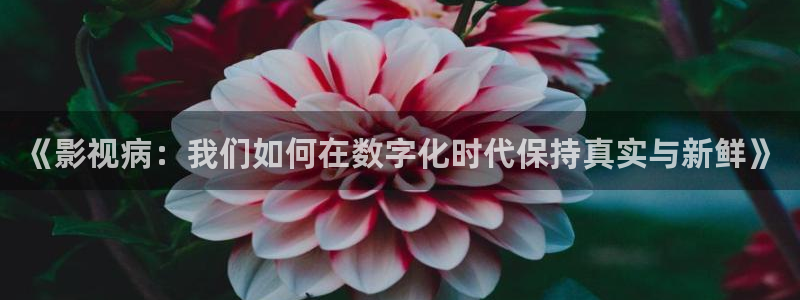 泡泡影视电影天堂：《影视病：我们如何在数字化时代保持真实与新鲜》