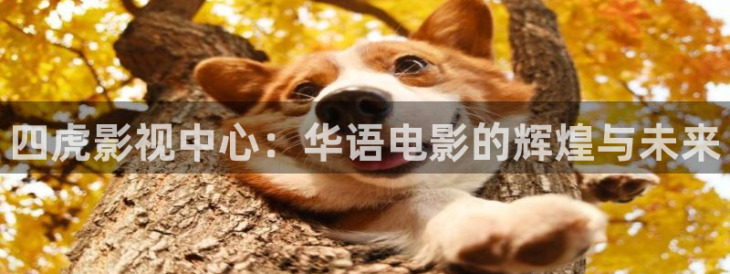 洛杉矶之战电影天堂：四虎影视中心：华语电影的辉煌与未来