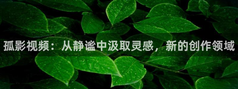 123电影天堂：孤影视频：从静谧中汲取灵感，新的创作领域