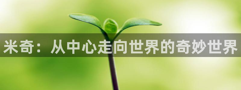 81电影天堂：米奇：从中心走向世界的奇妙世界
