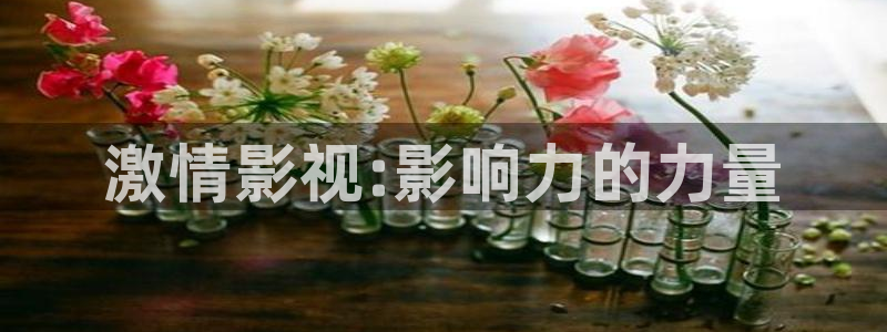 断头谷电影天堂：激情影视:影响力的力量