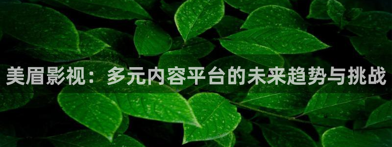 电影天堂2017：美眉影视：多元内容平台的未来趋势与挑战